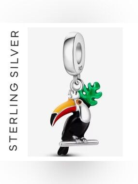 🌟 S925 Sterling Silver Macaw Charm